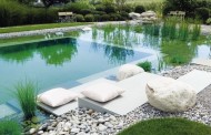 Bể bơi sinh thái, thiết kế bể bơi tự nhiên cho ngôi nhà lý tưởng