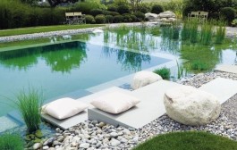 Bể bơi sinh thái, thiết kế bể bơi tự nhiên cho ngôi nhà lý tưởng