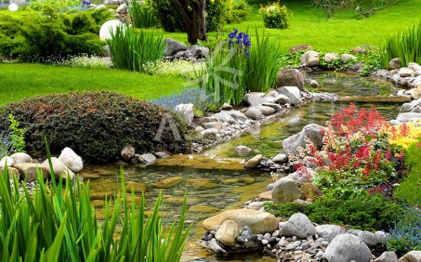 Tổng hợp mẫu cảnh quan sân vườn đẹp